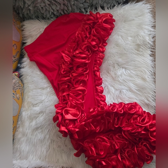 Red BodySuit & Matching Skirt - Picture 4 of 6